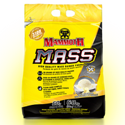 Mammoth Mass Vanille (6800 g)