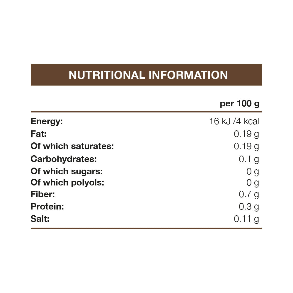 FitnFood Syrup Chocolat (425 ml)