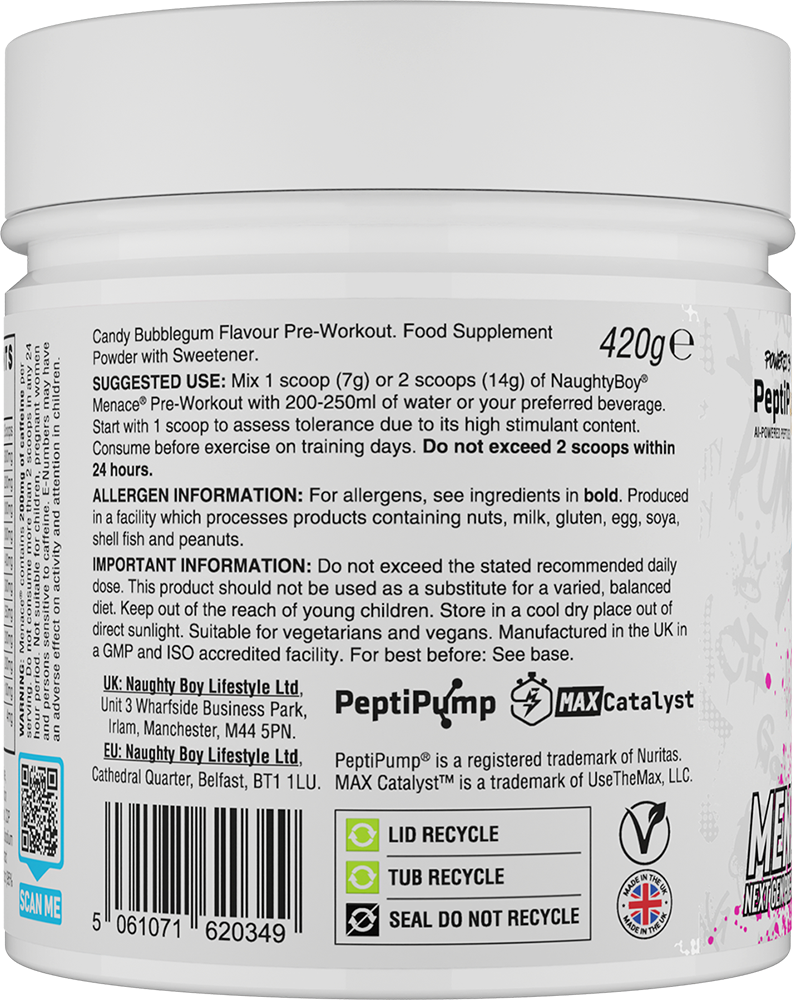 Naughty Boy Menace V2