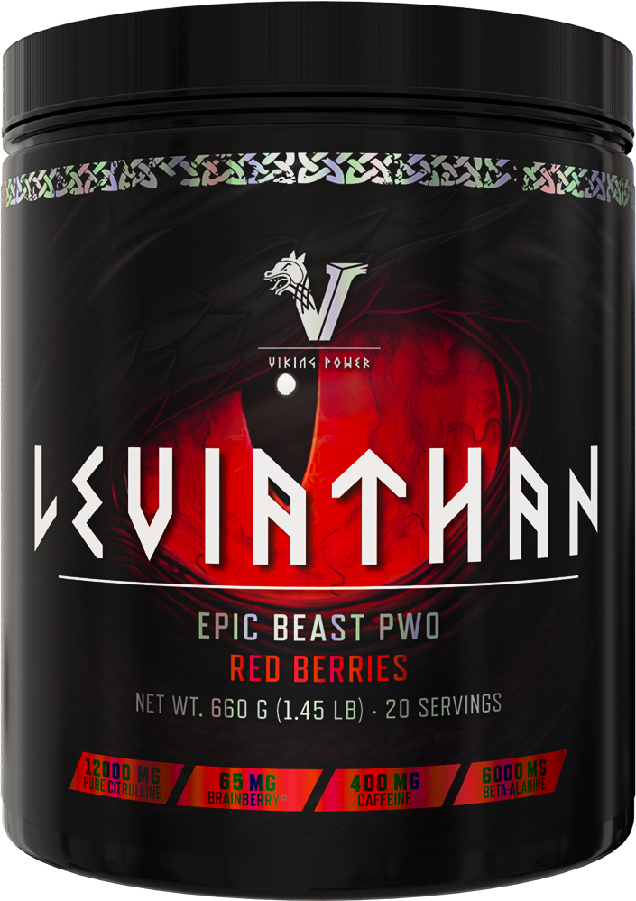 Viking Power Leviathan Hardcore PWO Fruits rouges (660 g)