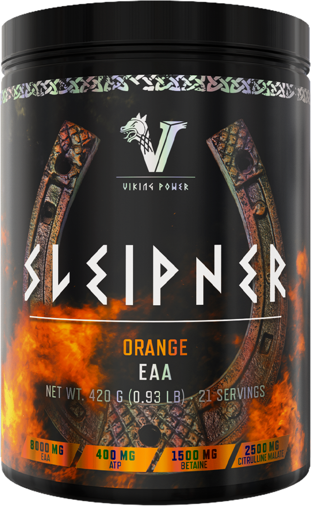 Viking Power Sleipner EAA
