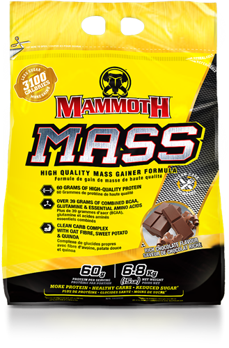 Mammoth Mass Rich Chocolate (6800 g)