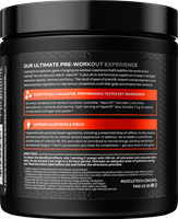 Vapor X5 Next Gen Fruit Punch Blast (228 g)-3