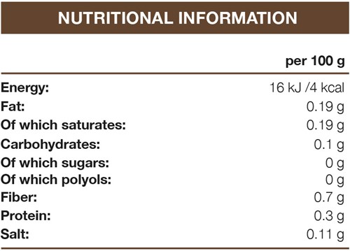 FitnFood Syrup Chocolat (425 ml)-2