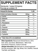 RAW EAA Island Slushie (315 g)-2