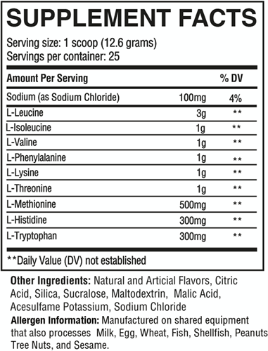 RAW EAA Island Slushie (315 g)-2