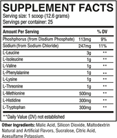 RAW EAA Pastèque (315 g)-2
