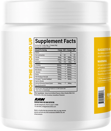 RAW Pump Ananas (480 g)-2