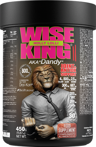 Zoomad WISE KING 2 Holly Lolly (450 g)